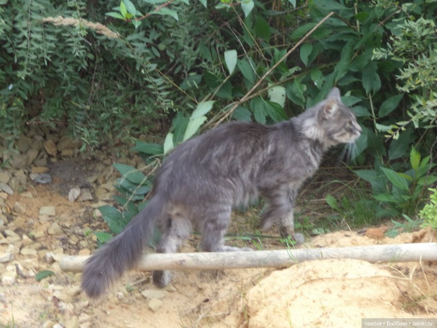 Незваный гость — Испанские куклы (разное): Vestida de Azul