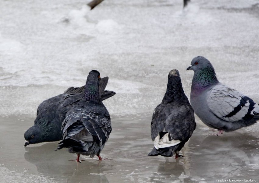 Катюша — Игровые куклы разных производителей (Разное): редкие бренды (фото 3)