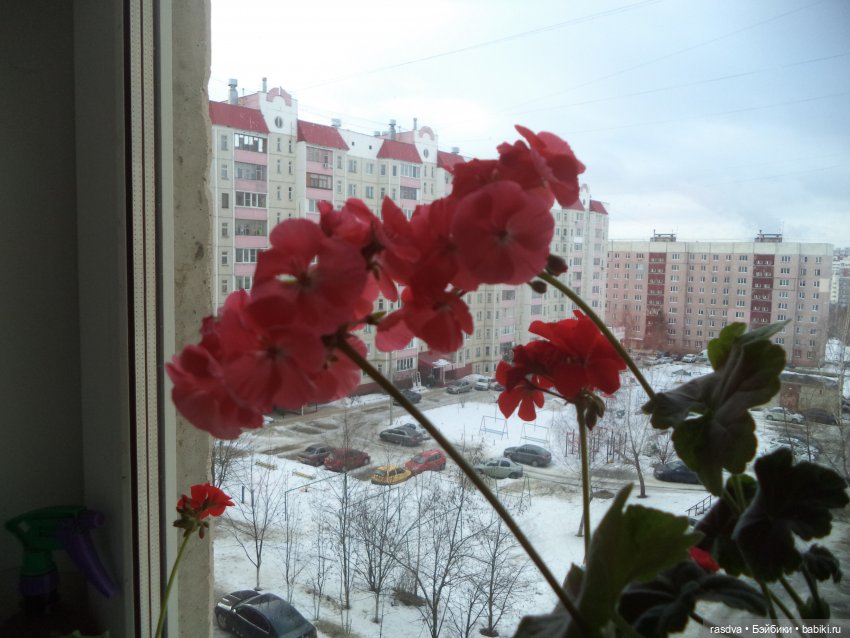 Катюша — Игровые куклы разных производителей (Разное): редкие бренды