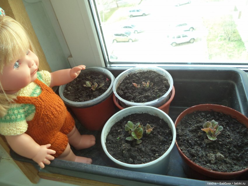 В ожидании цветов весны — Испанские куклы (разное): Vestida de Azul