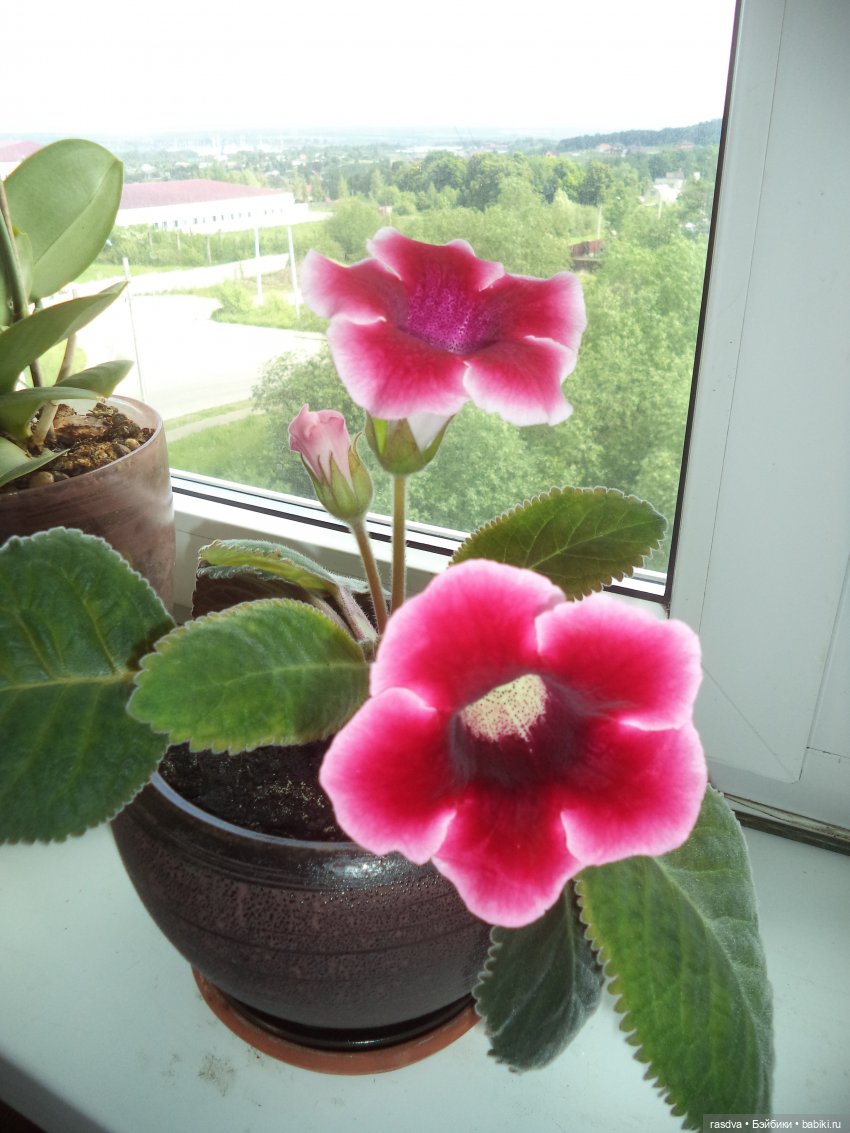 В ожидании цветов весны — Испанские куклы (разное): Vestida de Azul