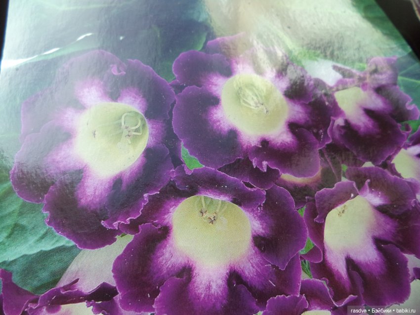 В ожидании цветов весны — Испанские куклы (разное): Vestida de Azul