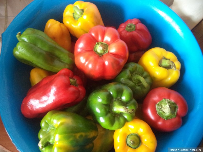 Ищем чемпиона — Испанские куклы (разное): Vestida de Azul