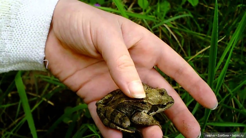 Бетти и рыбки — Испанские куклы (разное): Vestida de Azul