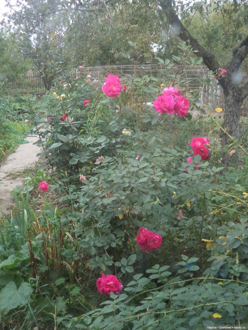 Бетти и рыбки — Испанские куклы (разное): Vestida de Azul (фото 4)