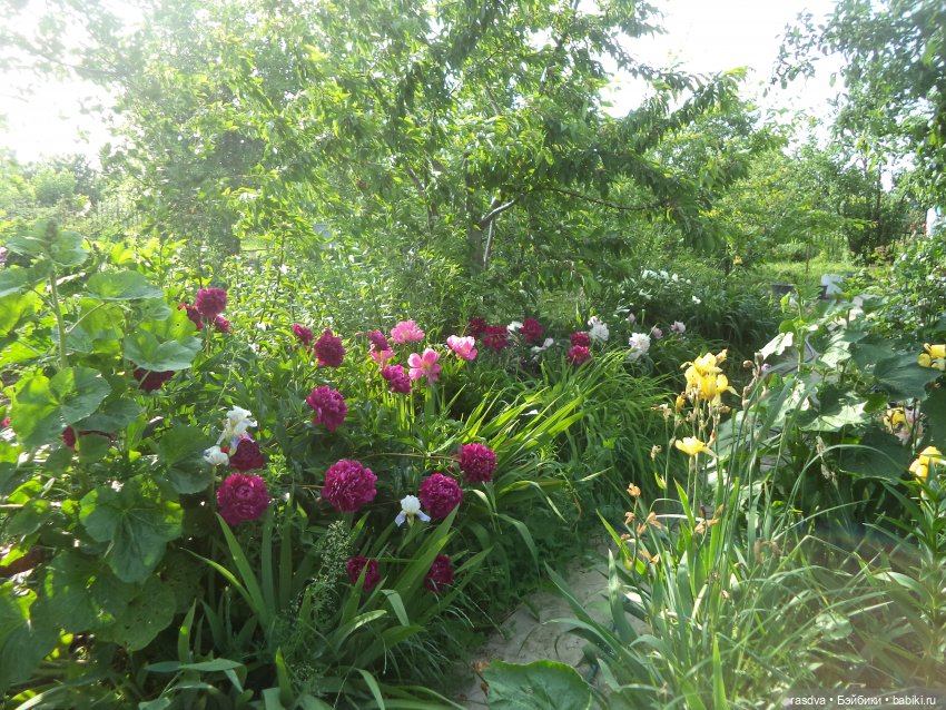 Бетти и рыбки — Испанские куклы (разное): Vestida de Azul (фото 5)