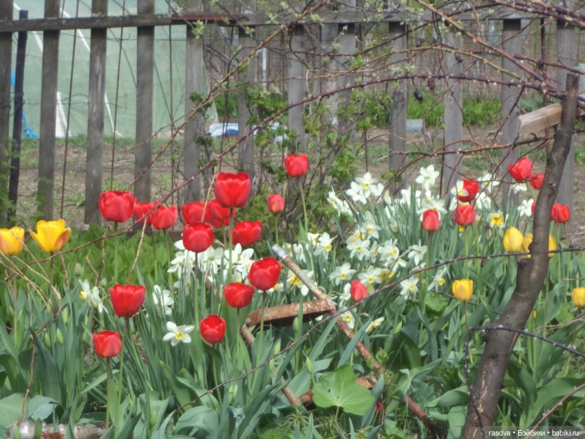 Весенний день — Испанские куклы (разное): Vestida de Azul (фото 2)