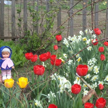 Весенний день