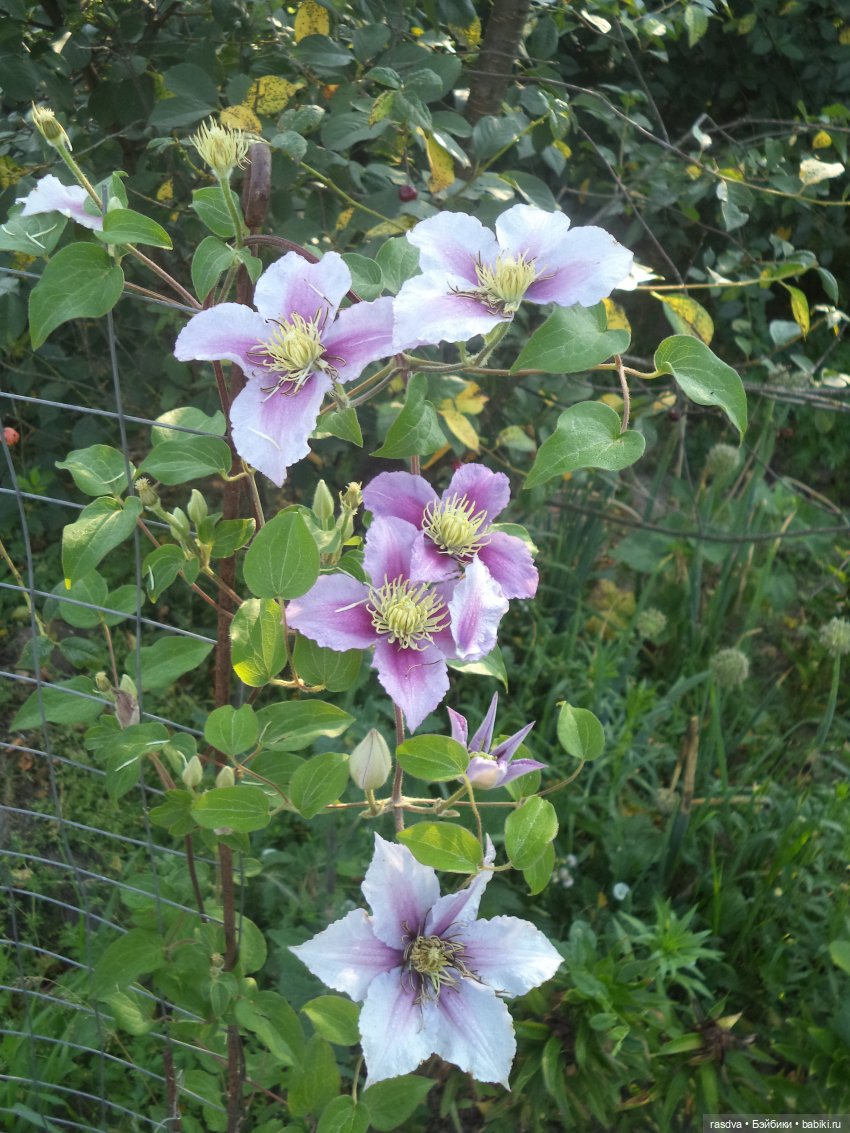 Дианка на даче — Куклы EuroGirls Diana Collection: формат 18" (46 см)