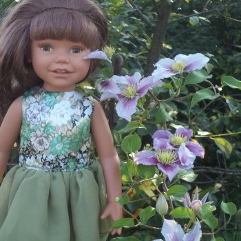 Дианка на даче