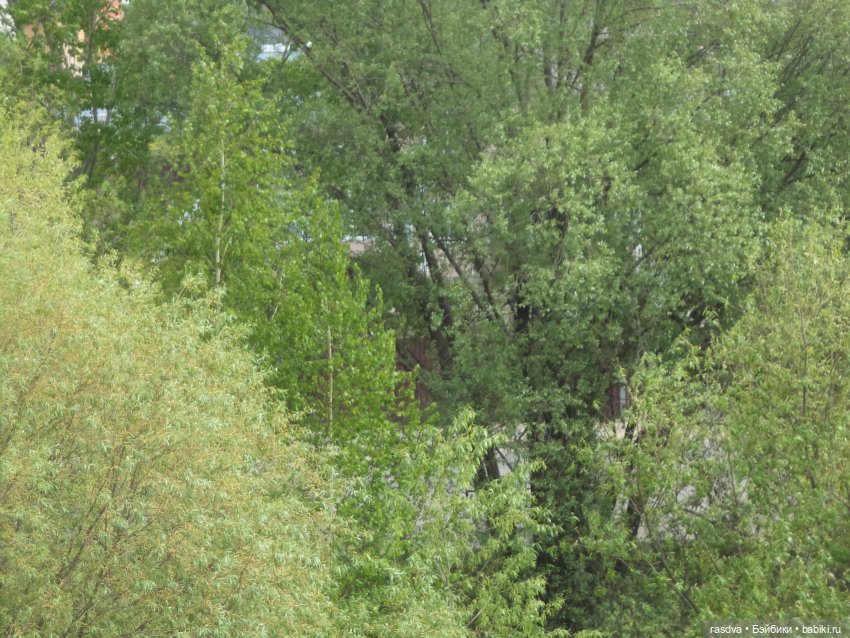 Она всё-таки пришла — Испанские куклы (разное): Vestida de Azul