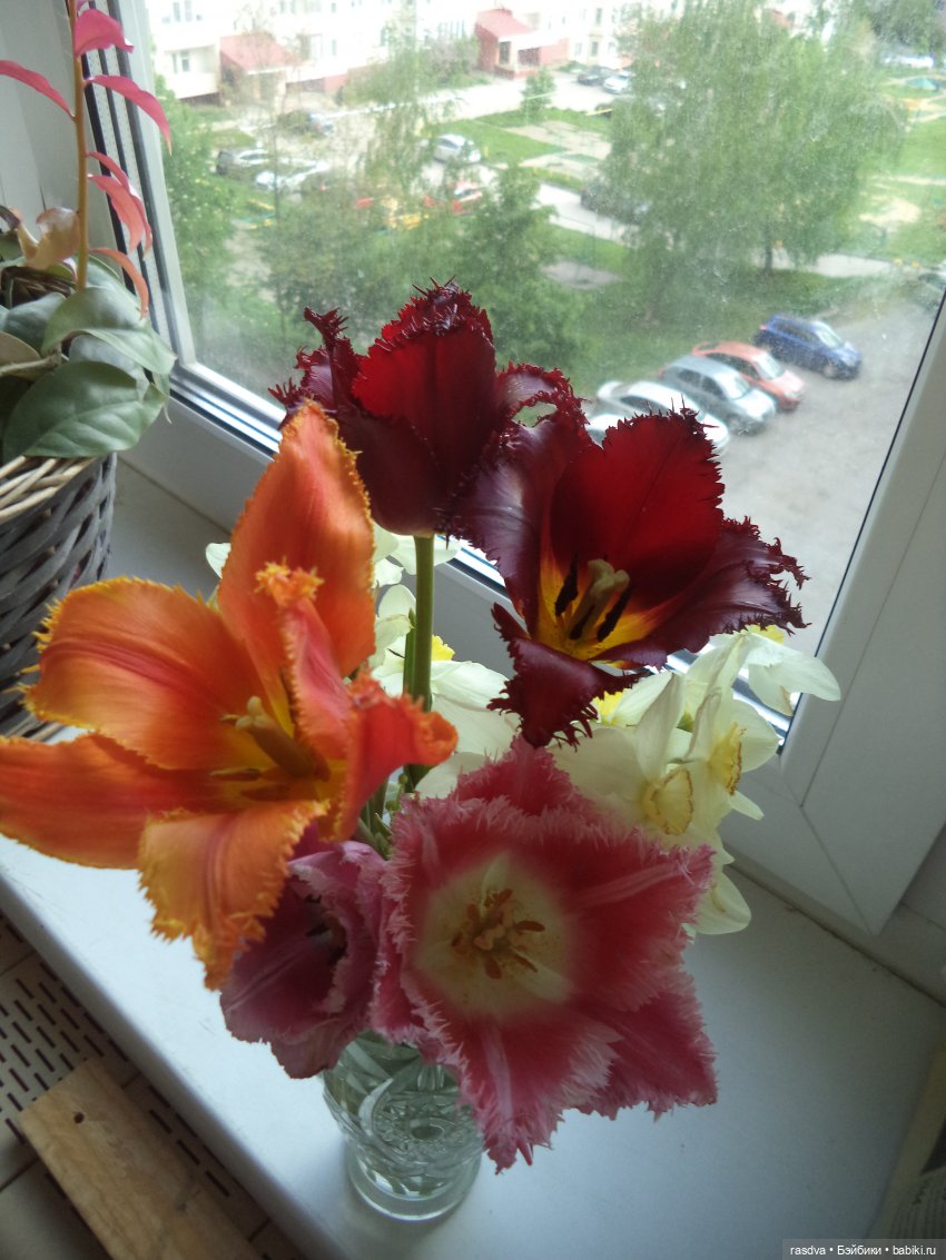 Она всё-таки пришла — Испанские куклы (разное): Vestida de Azul