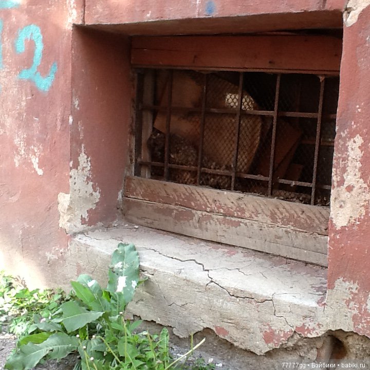 Лидочка - часть вторая, спасательная (фото 4)