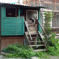 Снова Лидочка- девяносто пятый вариант