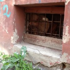 И опять Лидочка- вариант на запутывание окончательное