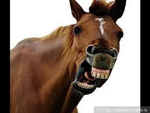 Часть последняя - плательная (фото 2)