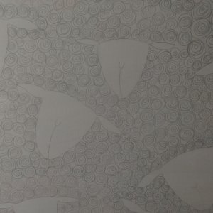 Внимание, посылки , которые я должна