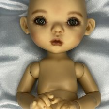 Продаю замечательную Сиси Dumplings ❗️