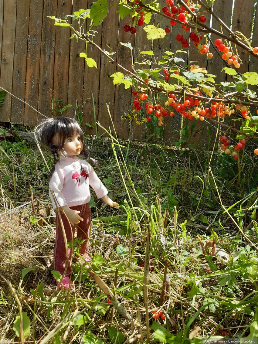 Дачные куникулы Дакоты — Болталка и разговоры обо всем: жизнь (фото 8)