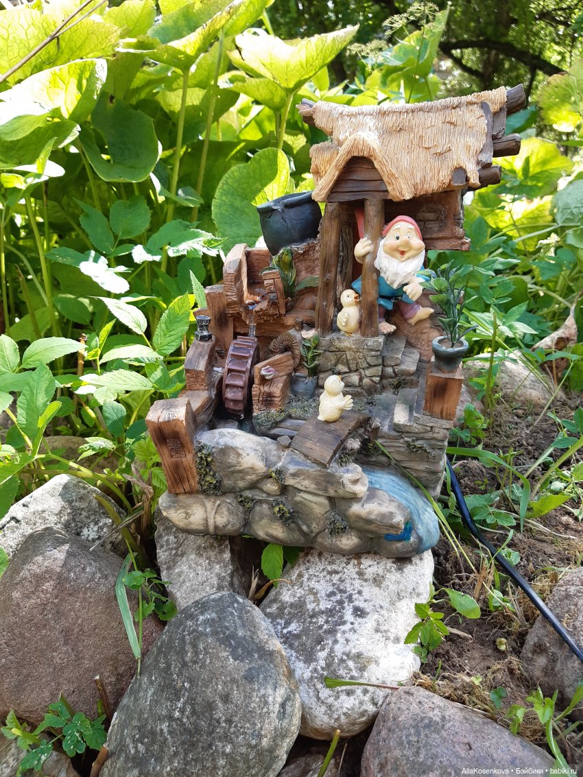 Дачные куникулы Дакоты — Болталка и разговоры обо всем: жизнь