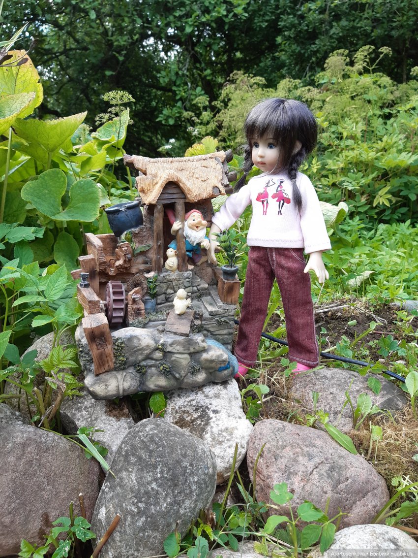 Дачные куникулы Дакоты — Болталка и разговоры обо всем: жизнь