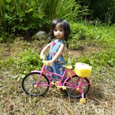 Дачные куникулы Дакоты