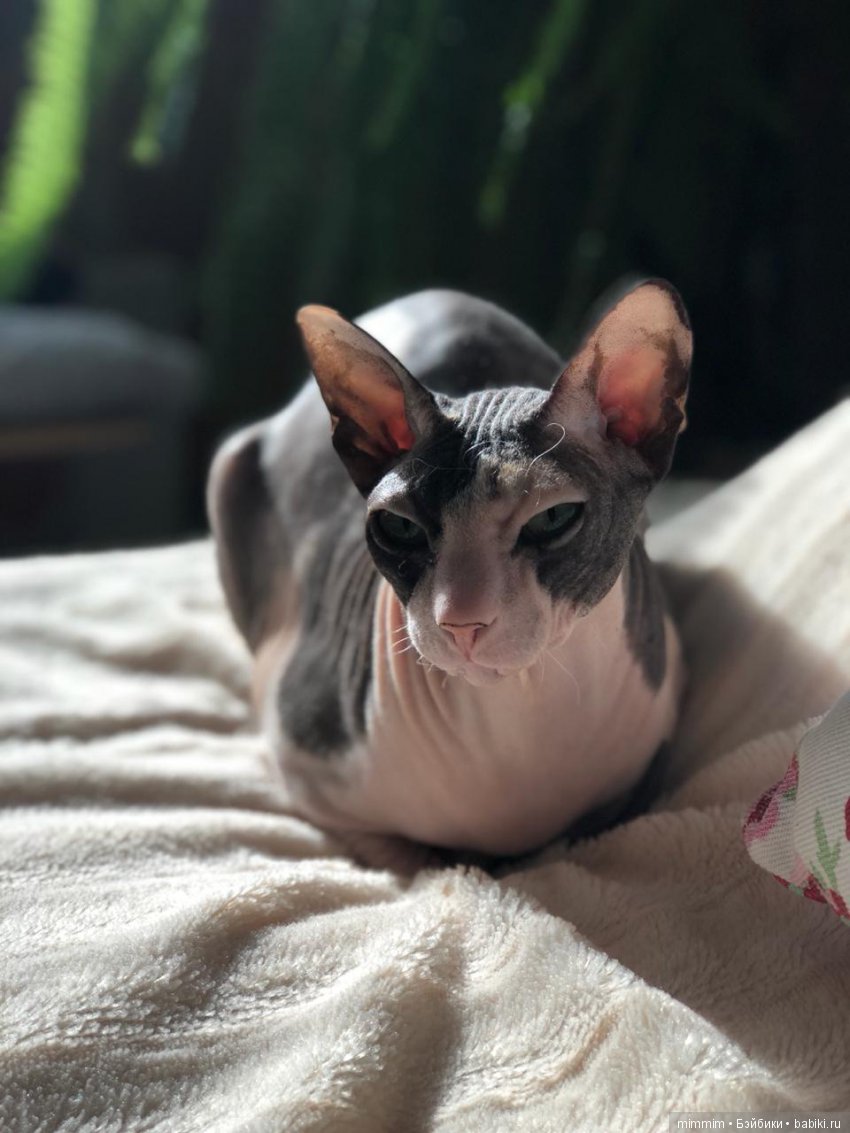 Кукла детства — Коллекции винтажных кукол и игрушек: СССР