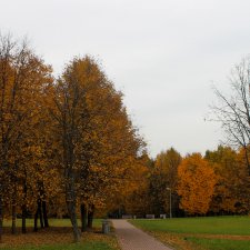 Прогулка по осеннему парку