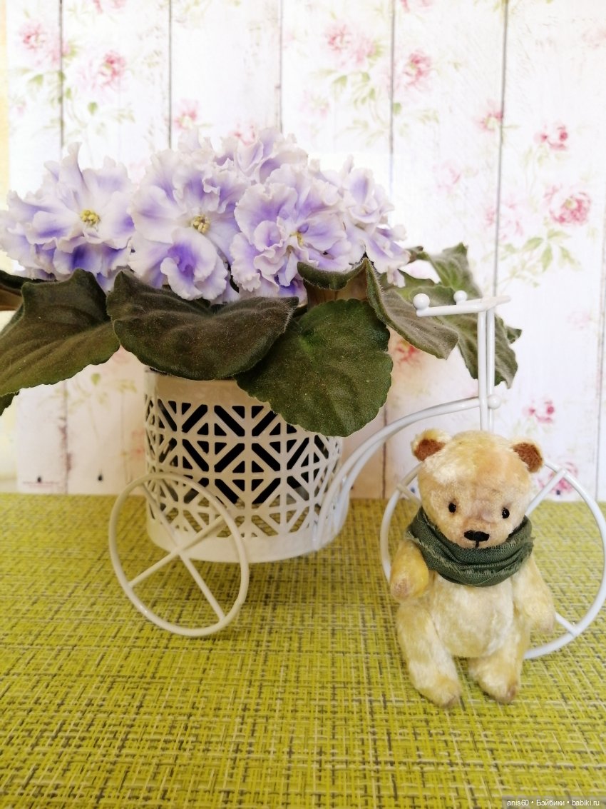 Машуля и медведи — Домашние фото авторских игрушек: Тедди (фото 9)