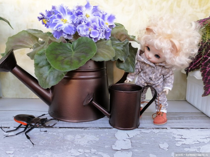 Котя и Жук — Фотоистории с куклами BJD (БЖД): сериалы (фото 3)