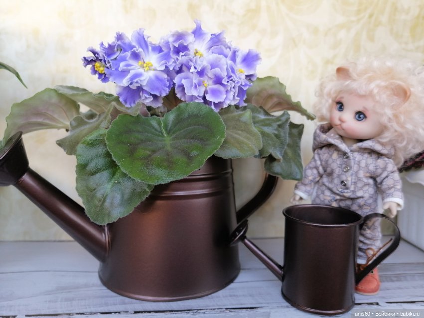 Котя и Жук — Фотоистории с куклами BJD (БЖД): сериалы (фото 2)