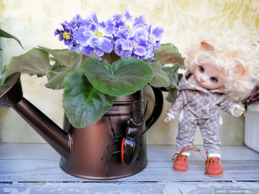 Котя и Жук — Фотоистории с куклами BJD (БЖД): сериалы (фото 6)