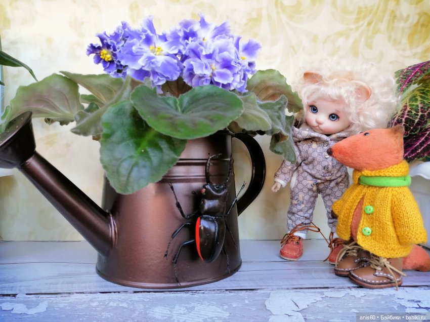 Котя и Жук — Фотоистории с куклами BJD (БЖД): сериалы (фото 7)