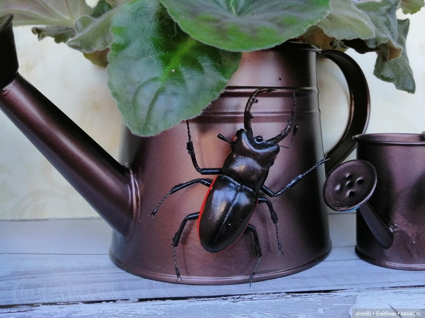 Котя и Жук — Фотоистории с куклами BJD (БЖД): сериалы (фото 9)