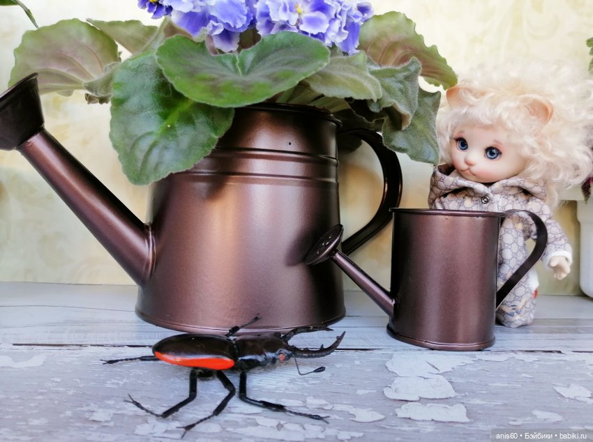 Котя и Жук — Фотоистории с куклами BJD (БЖД): сериалы (фото 4)