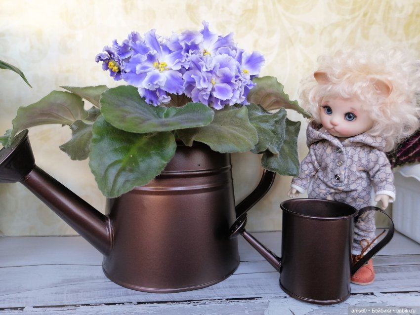 Котя и Жук — Фотоистории с куклами BJD (БЖД): сериалы