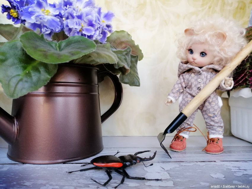 Котя и Жук — Фотоистории с куклами BJD (БЖД): сериалы (фото 5)