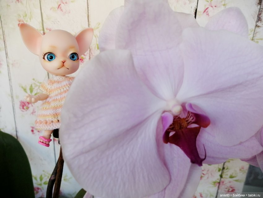 Жужа - цветочная фея — Кукольные фотоистории и сериалы: комиксы (фото 9)