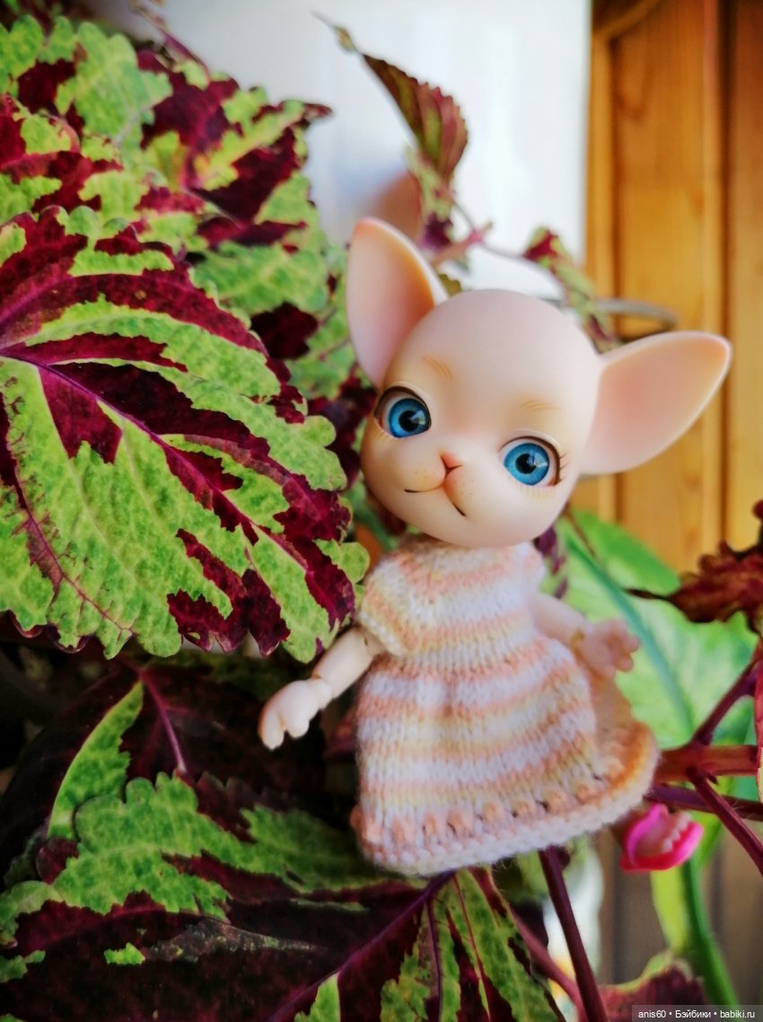 Жужа - цветочная фея — Кукольные фотоистории и сериалы: комиксы (фото 5)