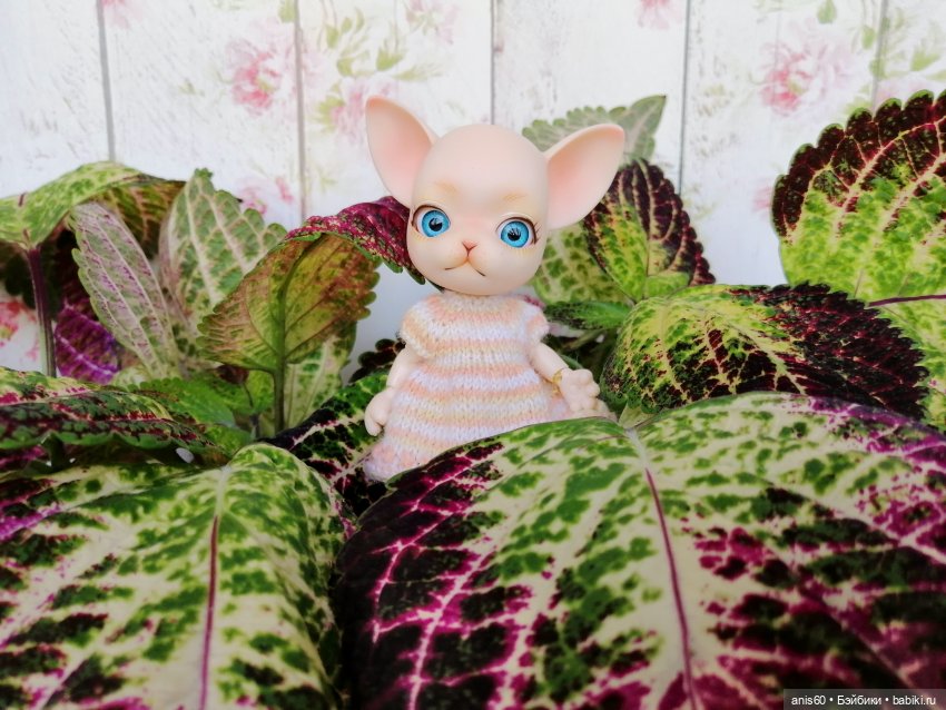 Жужа - цветочная фея — Кукольные фотоистории и сериалы: комиксы (фото 6)