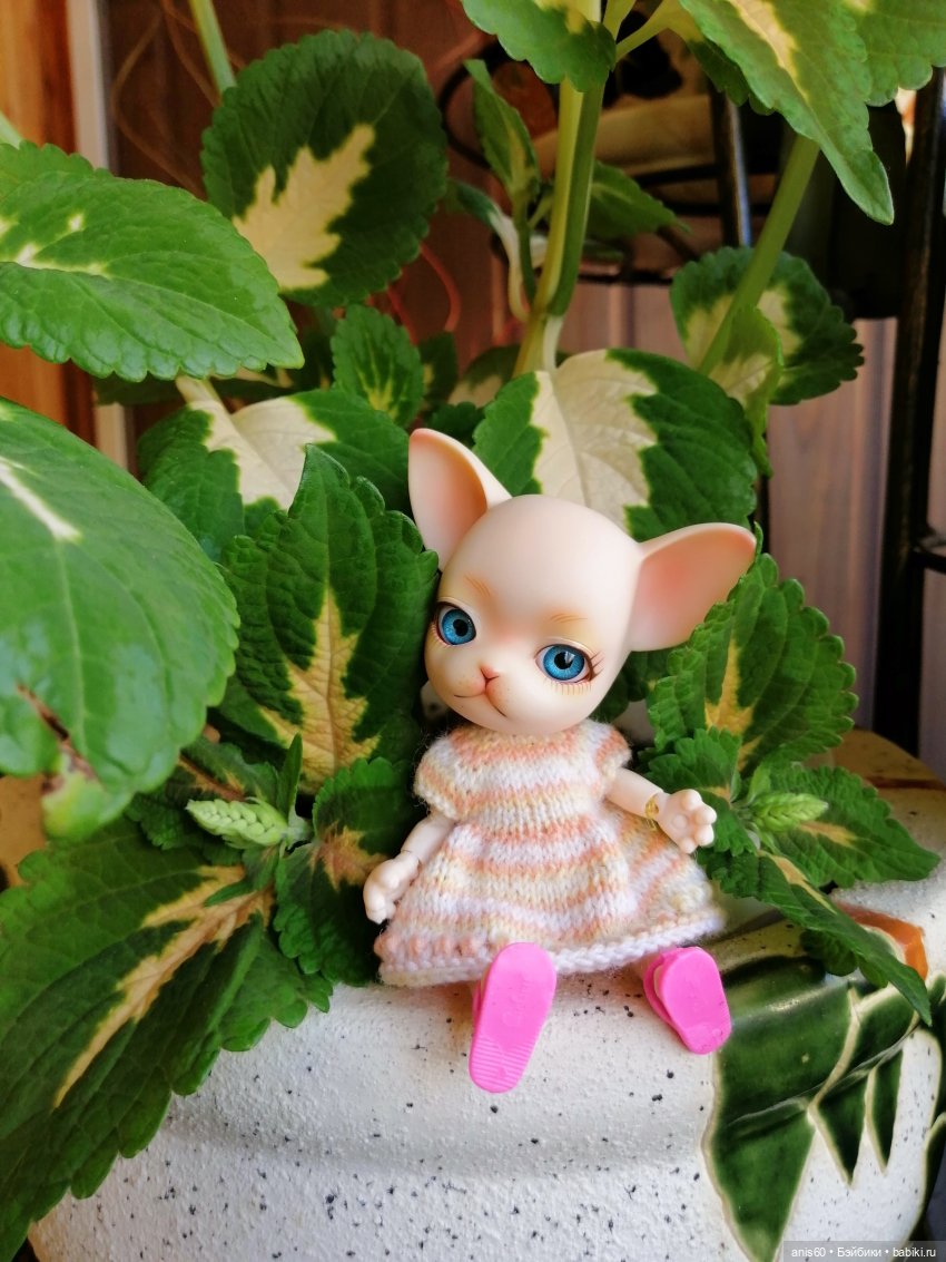 Жужа - цветочная фея — Кукольные фотоистории и сериалы: комиксы (фото 3)