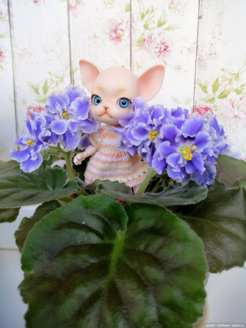 Жужа - цветочная фея — Кукольные фотоистории и сериалы: комиксы