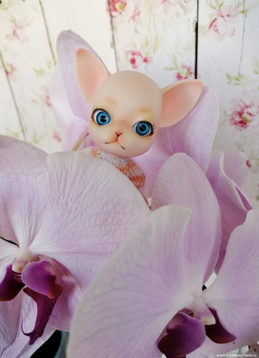 Жужа - цветочная фея — Кукольные фотоистории и сериалы: комиксы (фото 10)