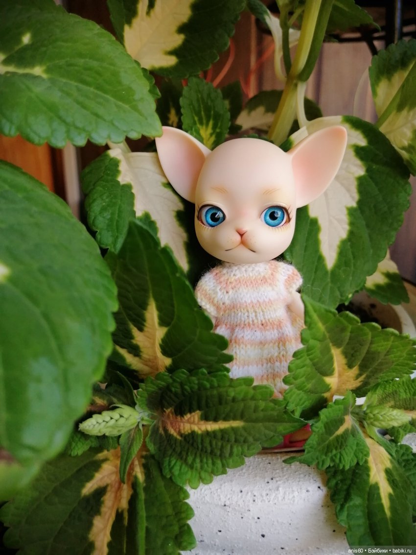 Жужа - цветочная фея — Кукольные фотоистории и сериалы: комиксы (фото 4)