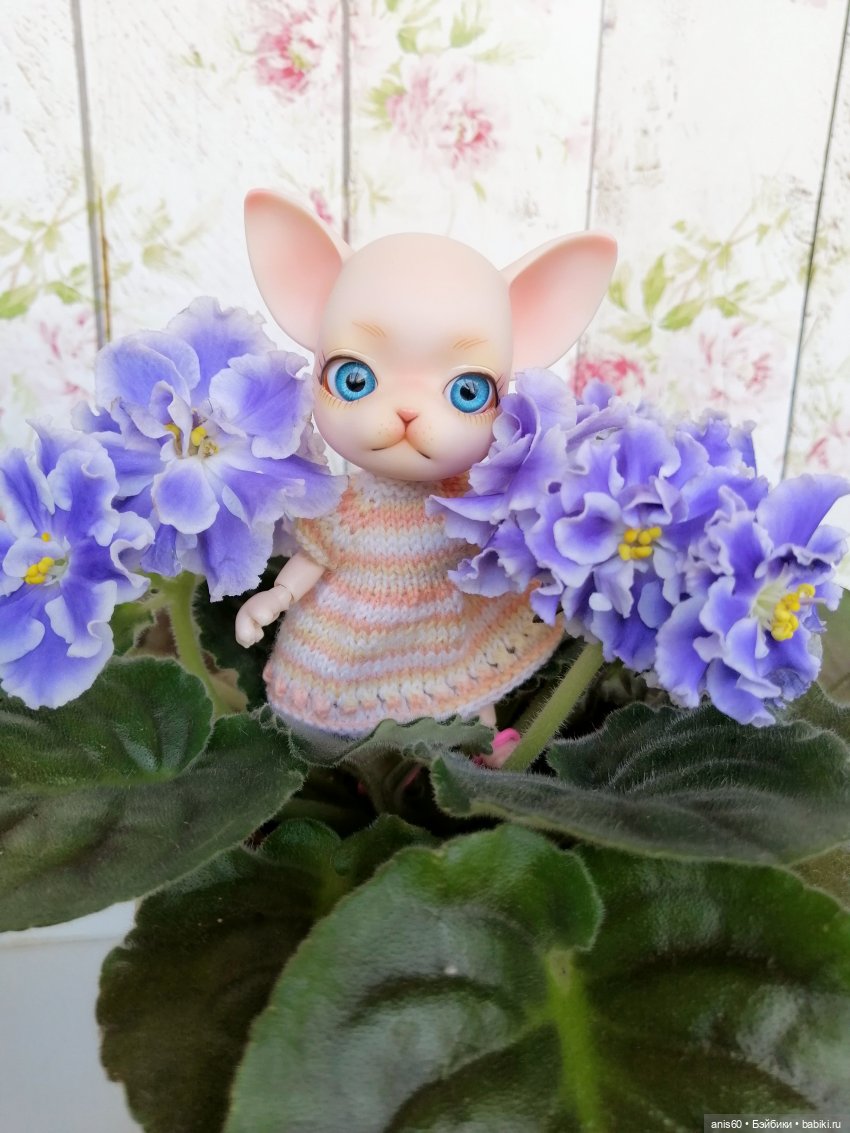 Жужа - цветочная фея — Кукольные фотоистории и сериалы: комиксы (фото 7)