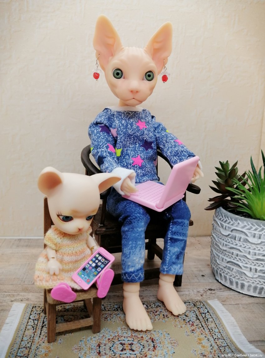 Матильда, собака не стерильна (фото 6)