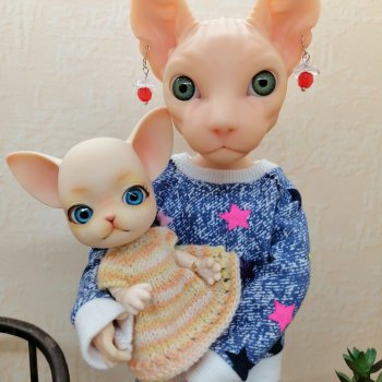 Матильда, собака не стерильна!!