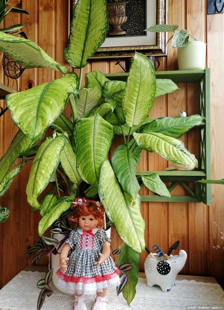 Булочка и диффенбахии — Куклы Rosemarie Anna Muller (Мюллер): Вихтели (Wichtel) (фото 10)