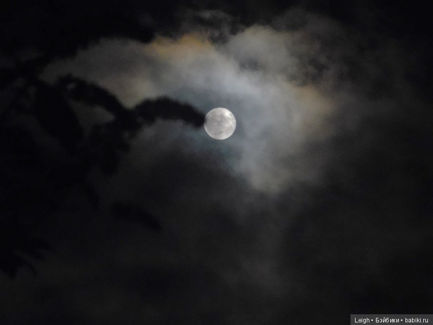 4th of November, 2017