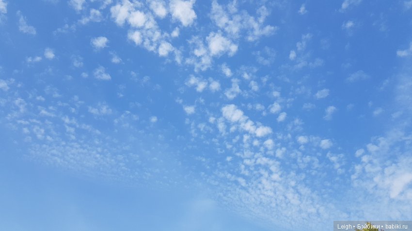 Мои пятидесятницы и не только (фото 2)